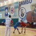 Всероссийский турнир по борьбе самбо